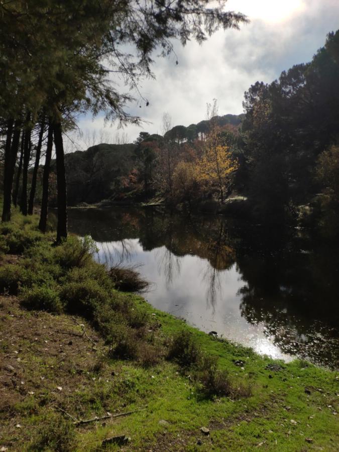 Casa Rural El Trepador Azul Cabeza la Vaca エクステリア 写真