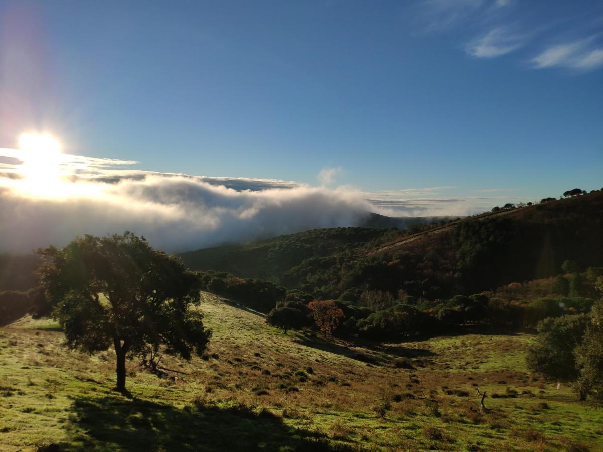 Casa Rural El Trepador Azul Cabeza la Vaca エクステリア 写真