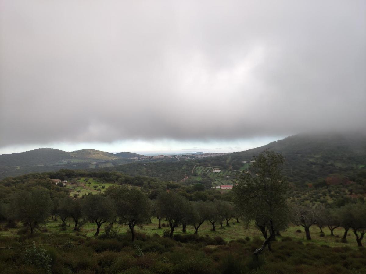 Casa Rural El Trepador Azul Cabeza la Vaca エクステリア 写真