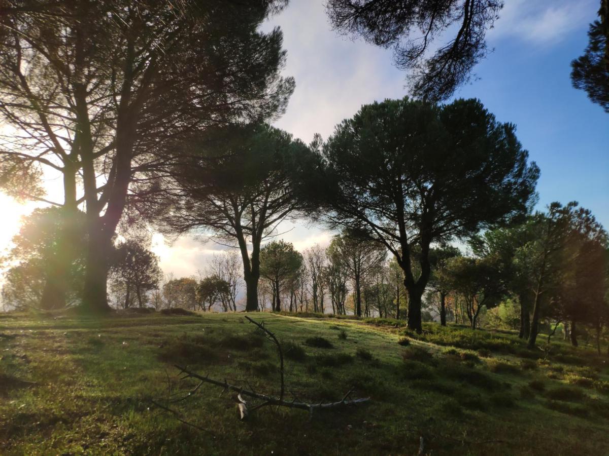 Casa Rural El Trepador Azul Cabeza la Vaca エクステリア 写真