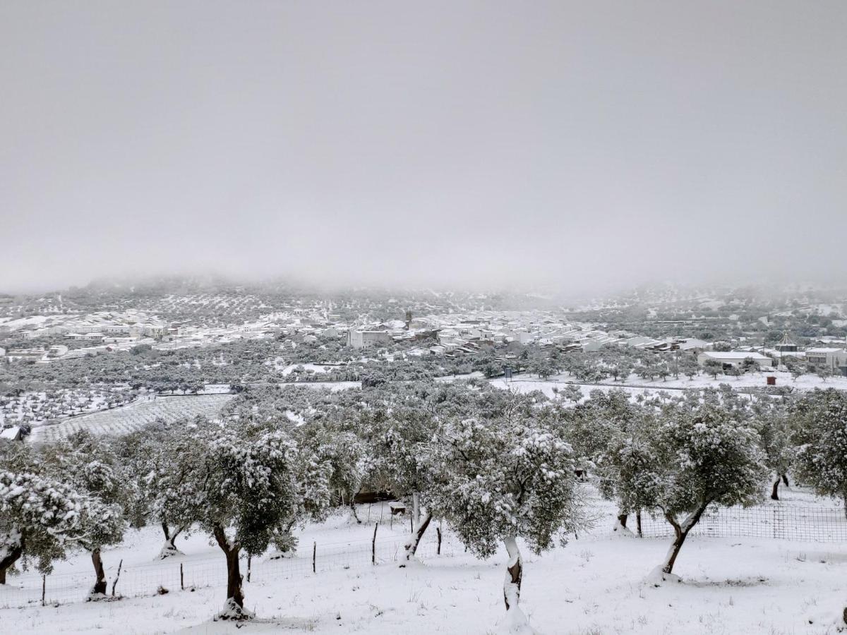 Casa Rural El Trepador Azul Cabeza la Vaca エクステリア 写真